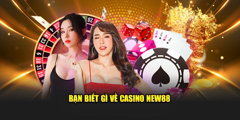 Bạn biết gì về casino New88